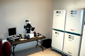 Bluegrass Fertility Center - Lexington, KY IVF Laboratory